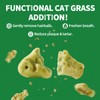 Just Try Cat Treats, Cat Grass Treats, Natural Salmon Flavor