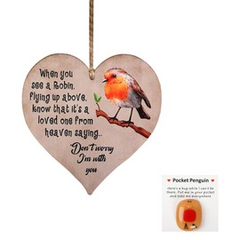 Wasise Robin Gifts - 2PCS Robin Wooden Sign & Pocket Hug Gift Set, Mini Pocket Hug Robins Decoration as Unique Keepsake Gift, Thoughtful Good Luck Gifts for Women Girls, Comforting Robins Ornaments