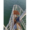 Boat or Railing Safety Netting for Lifeline, Bannister, Bunk Beds,