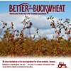 Better with Buckwheat Sea Salt Crackers, Complete Protein, Gluten-Free Crackers,
