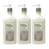Bath and Body Work Aroma Mineral Stone Spa 3 Pack