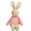 Rainbow Designs Peter Rabbit My First Flopsy Bunny - Cuddly