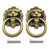 Aifeier ET Antique Bronze Lion Head Knob Pull Handle 2.64