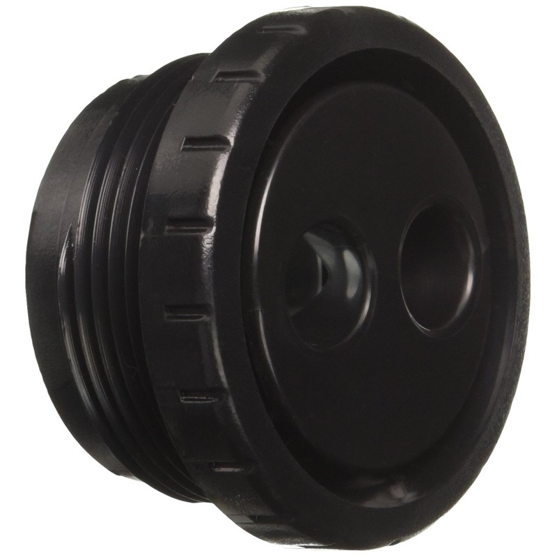 Waterway 212-9171 Spa Rotating Eyeball, Black
