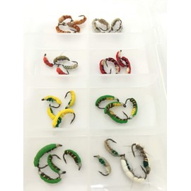 BestCity Fast sinking Czech nymphs Box of 24 Fishing Flies Size 10-16