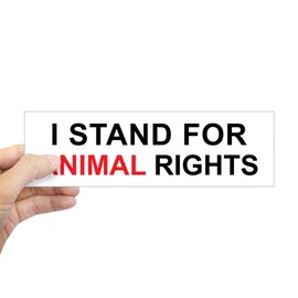 CafePress Animal Rights 10"x3" Rectangle Vinyl Bumper Sticker Car Decal