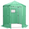 Hexagonal Walk-In Garden Greenhouse with PE Cover and Metal Frame