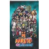 Naruto Shippuden Characters Poster Flag - 36" x 60"