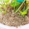 Kapecute 2QT Pothos Soil, Ideal Soilless Potting Soil Mix for