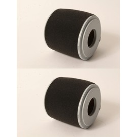 2 PK Cyclone Air Filter & Pre Filter Fits Honda 17210-Z0V-781 GX160 GX200