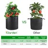 iGarden Grow Bags Tall, 10 Gallon Grow Pots 6 Pack