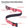 Reflective Nylon Dog Collar with Safety Buckle, Adjustable Pet Collars