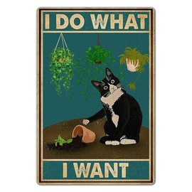Bestylez Cute Cat Pictures Cat Poster Catio Accessories Cat Room Decor Gifts For Cat Lovers - I Do What I Want Sign, 8 x 12 Inch (915)