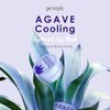 PETITFEE Agave Cooling Eye Patch (60 pieces, 30 pairs) Cool