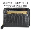 [Italian Leather] Croco Embossed Coin Case with Card Slot, Luxury,