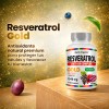 Resveratrol Gold Anti-ox Complex 90 Cpsulas Sin Sabor