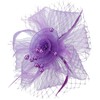 DRESHOW Fascinators Hat Flower Mesh Ribbons Feathers with Forked Clip