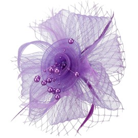 DRESHOW Fascinators Hat Flower Mesh Ribbons Feathers with Forked Clip Cocktail Tea Party Headwear for Girls and Women