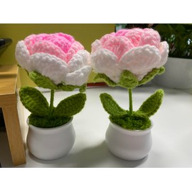 zbstream Crochet Rose Potted, 2pcs Mini Artificial Plants Rose Flowers Potted Plants Handmade Knitting Flower for Family and Friends, Crochet Flowers for Home Car Decor (Gradient Pink)