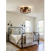 Curve Curio 18 Inch Farmhouse Caged Ceiling Fan with Light,