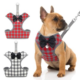 Rypet 2PCS Small Dog Harness and Leash Set - No Pull Pet Harness with Soft Mesh Nylon Vest for Small Dogs and Cats L