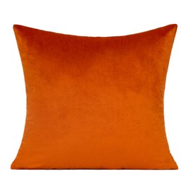 VAKADO Burnt Orange Velvet Cushion Covers Fall Autumn 18x18 Inches Decorative Decor Soft Square Cozy Solid Color Cushion Cases Home for Couch Sofa Bedroom Bed Car Set of 2
