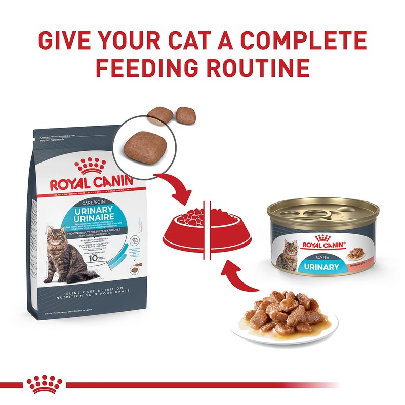 Royal Canin Feline Care Nutrition Urinary Care Adult Dry Cat