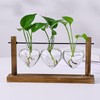 Fenteer Terrarium Planter Hydroponics Plant Holder with 3 Heart Shaped