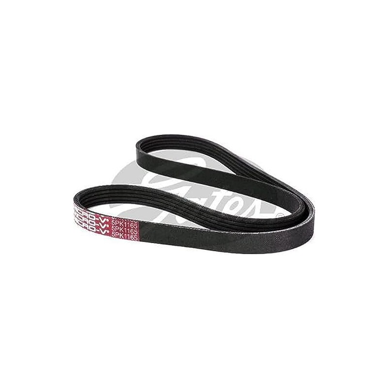 Gates 5PK1165 Micro-V Ribbed Drive Belt, 1165 mm Length