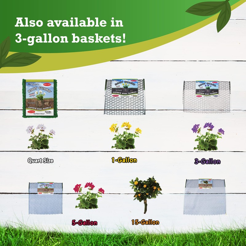 Digger’s 1-Gallon Heavy-Duty Wire Basket - Gopher Wire Baskets for