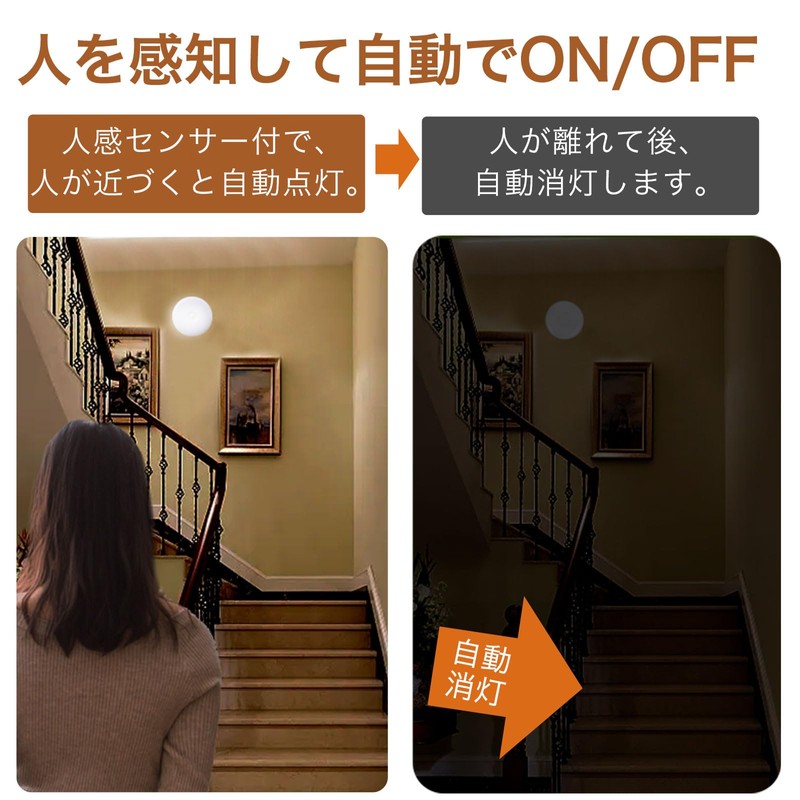 Japanese Quality Ceiling Light, Small, Motion Sensor, Entrance Light, Daylight