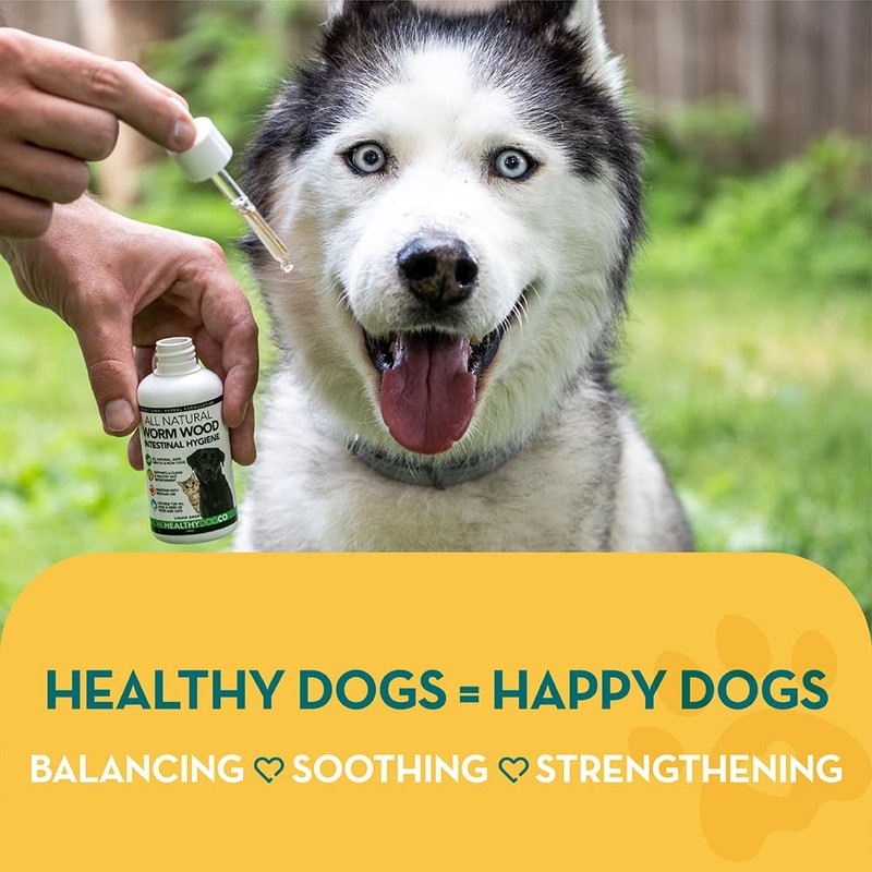 The Healthy Dog Co - Natural Wormwood for Dog Worming