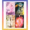Shamans Dream Oracle Japanese Manual Included Oracle Card, Tarot Card,