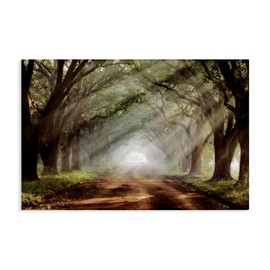 Stupell Industries Sunlit Evergreen Grove Canvas Wall Art design by Mike Jones, 30 x 45