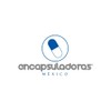 Gluconato De Zinc, 250 Grs
