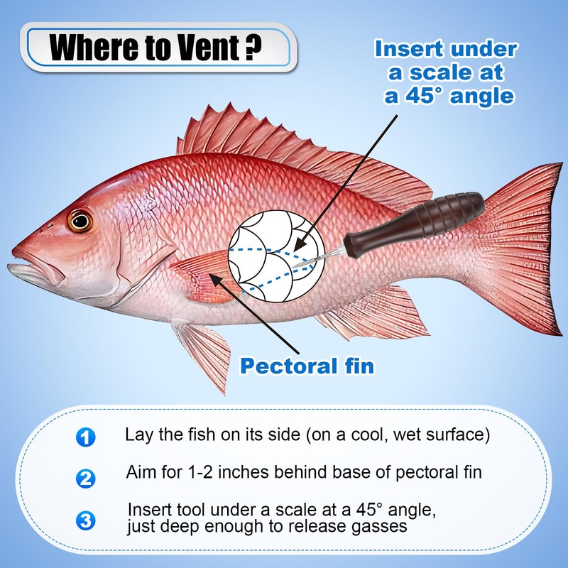 Fish Venting Tool, Venting Kit for Deep Sea Fish with