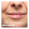 LABELLO Bálsamo Labial Glowy Lips Clear 4.8gr, con Extracto de