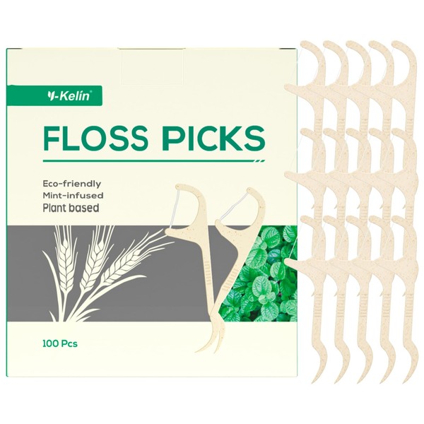 Dental Floss Sticks, Floss Picks, Dental Floss Toothpick Mint,Natural Eco-Friendly Vegan Sustainable Dental Floss,Teeth Stick（100 Picks）