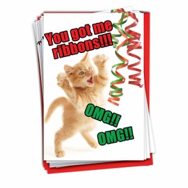 B1076 Box Set of 12 Cat Ribbons Funny Christmas Paper Cards with Envelopes