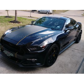 ORACAL 25.5” Mustang Racing stripes graphics decals fit Ford Mustang Shelby GT 500