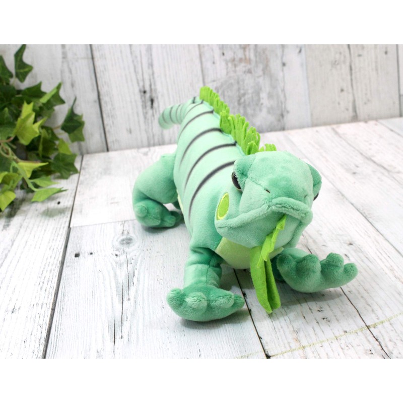 takeoff green iguana