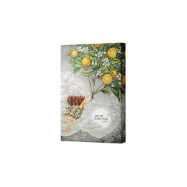 Art Fit Lifting [Wrinkle Improvement Functionality] 5 pieces / 아트핏 리프팅 [주름개선 기능성] 5매입