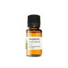 Terpenic Labs Tea Tree Essential Oil 10Ml.