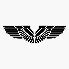 HOF Trading Eagle Wings Vinyl Sticker Waterproof Decal Laptop Wall Window Bumper Sticker 5"