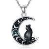 QHQPQ Black Cat Necklace for Women 925 Sterling Silver Moon