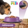 Fancypets Fancy Pets Plato de Colores Surtidos para Perro con