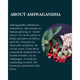 Doctor's Secret Ashwagandha Gummies | 5% Withanolides | Vegan | Natural Food Supplement Used to Support Stress, Anxiety, Sleep and Mental & Physical Performance | Non-GMO | Made in The UK
