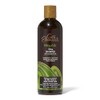 Silk Elements MegaSilk Olive Shampoo