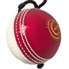 ONEGlobal Incrediball String Cricket Ball | Outdoor and Indoor Soft