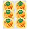 Kanazawa Kenroku Seika MP-6 Mango Pudding 6 Pieces 11.1 oz